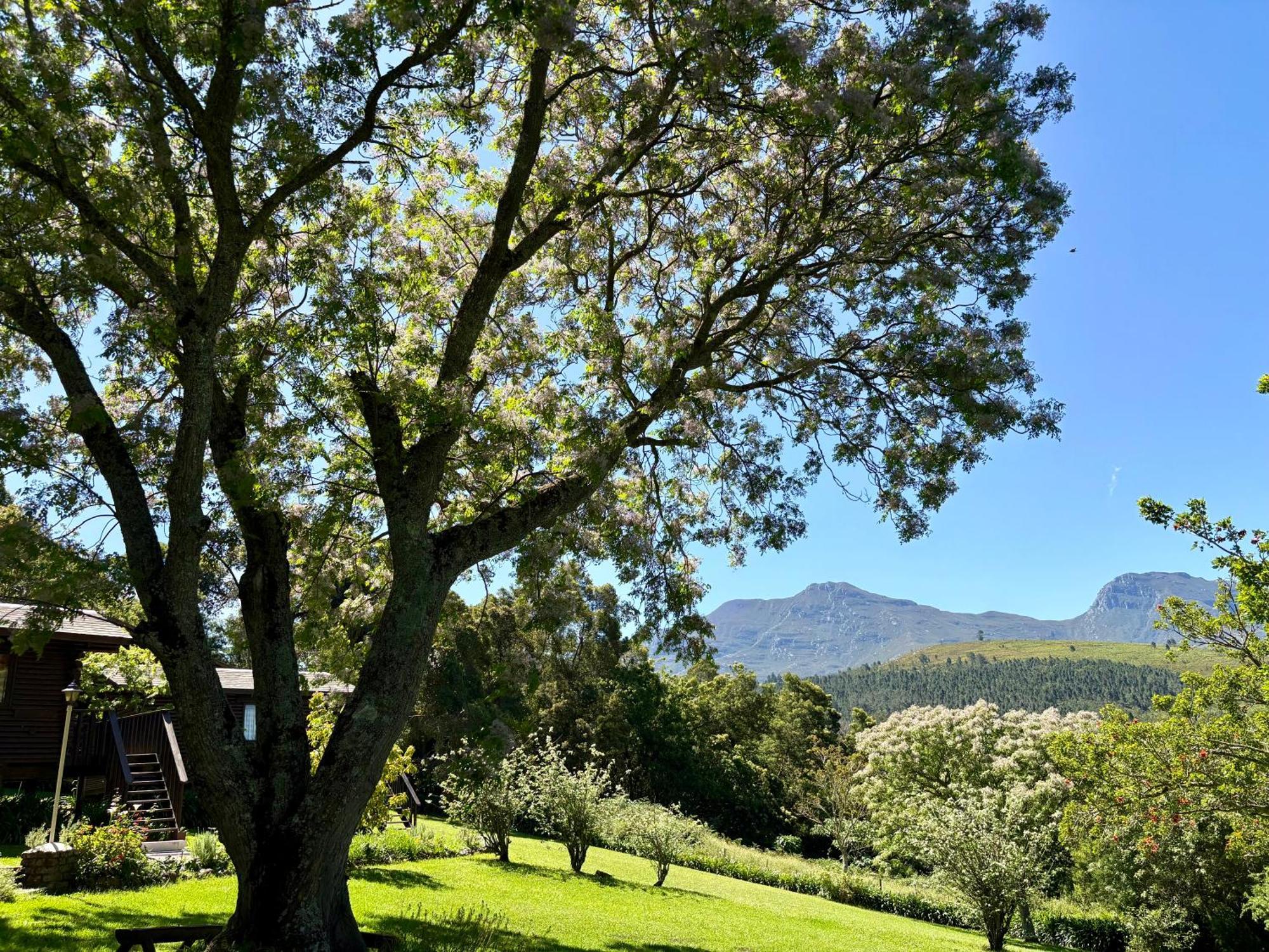Eight Bells Mountain Inn Ruiterbos Luaran gambar