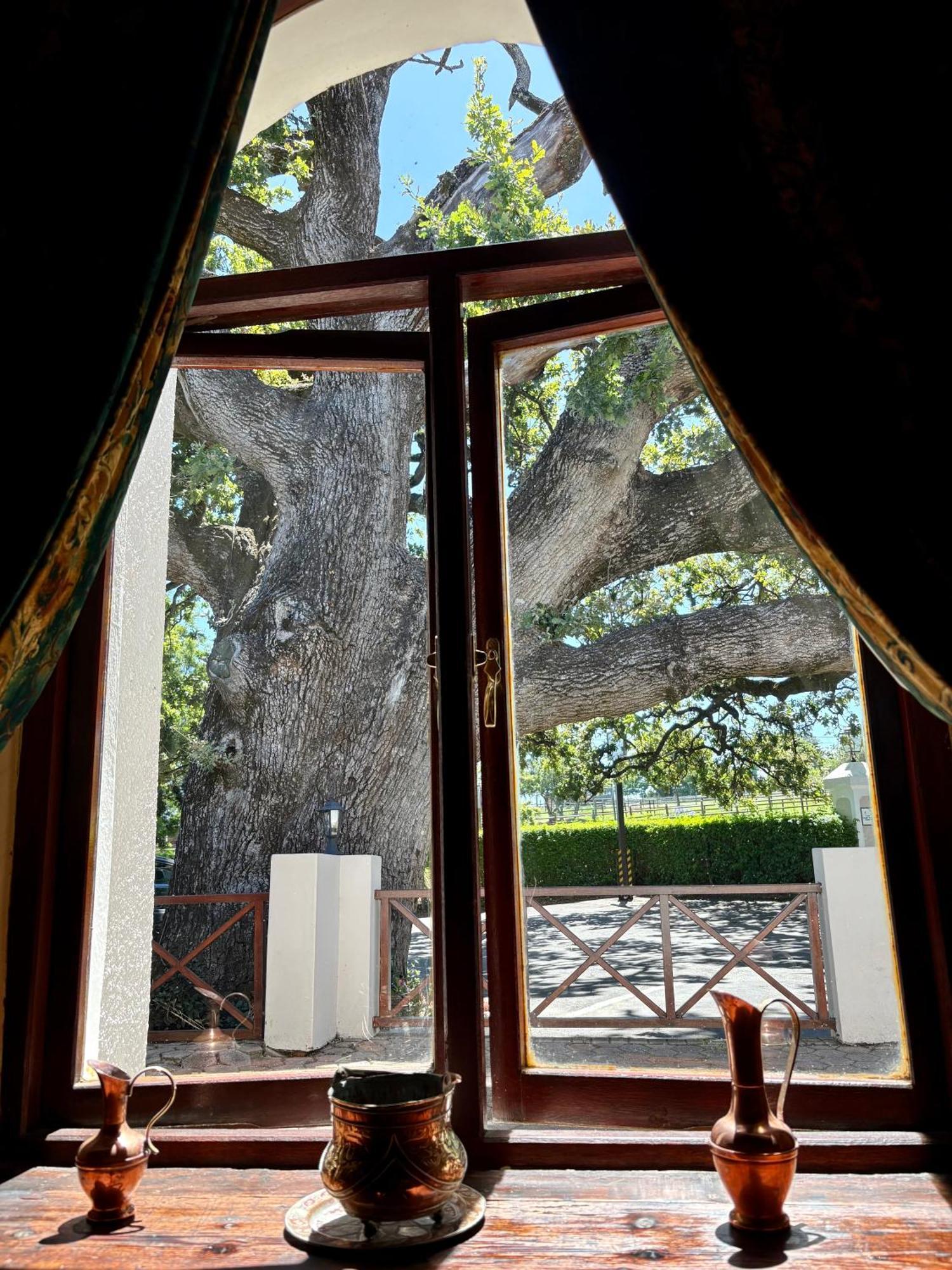 Eight Bells Mountain Inn Ruiterbos Luaran gambar
